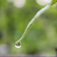 /album/galerie-photos/frida-dumont-img-8144-jpg/